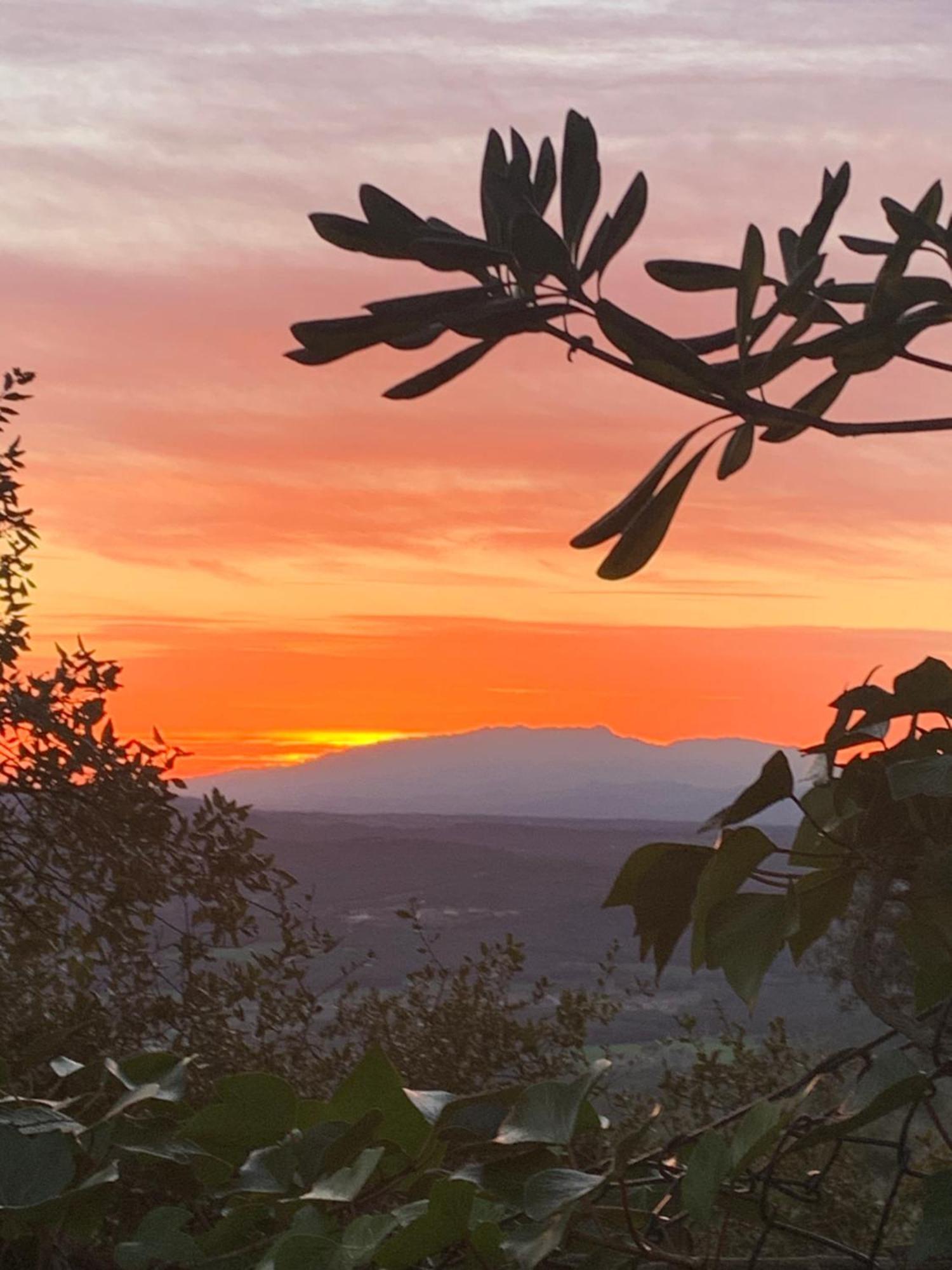 דירות סנטה כריסטינה ד'ארו Sunny Costa Brava Getaway מראה חיצוני תמונה